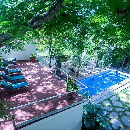 Villas Parota Inn Нуево-Вальярта Екстер'єр фото